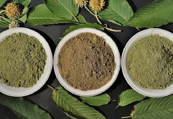 What are the main active compounds in Kratom Powder?